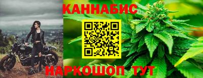 гашик Гусев