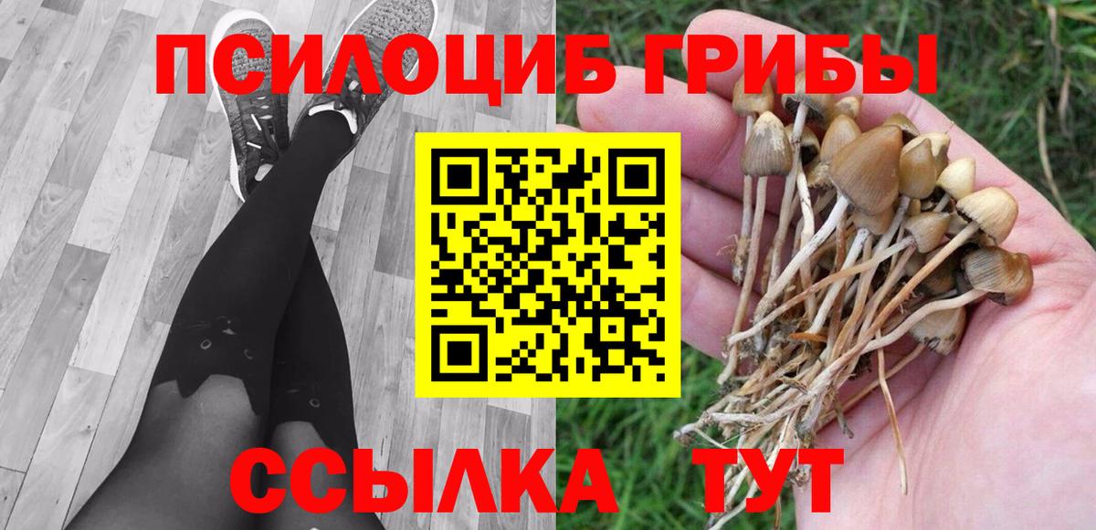 Нижневартовск  где купить   Вход с VPN  Псилоцибиновые грибы ЛСД 